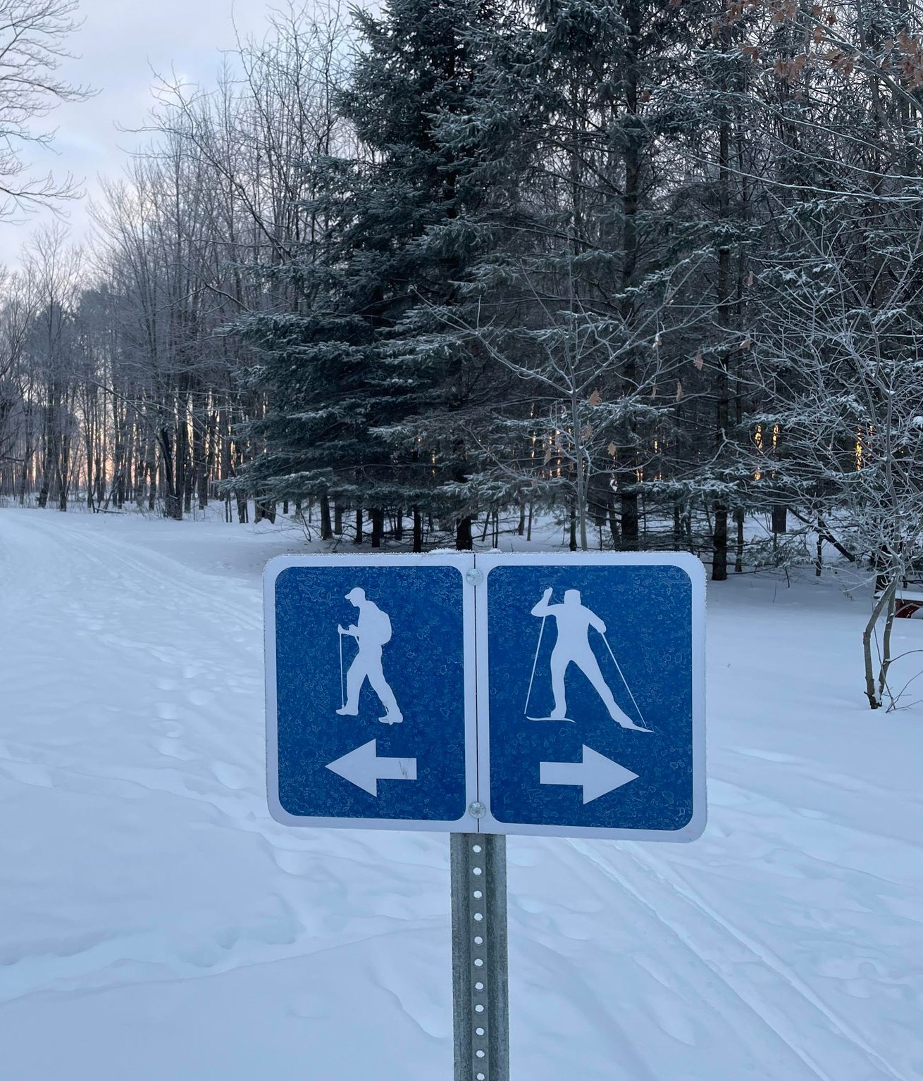 Signs on trail indicating hiking on the left and cross-country skiing on the right