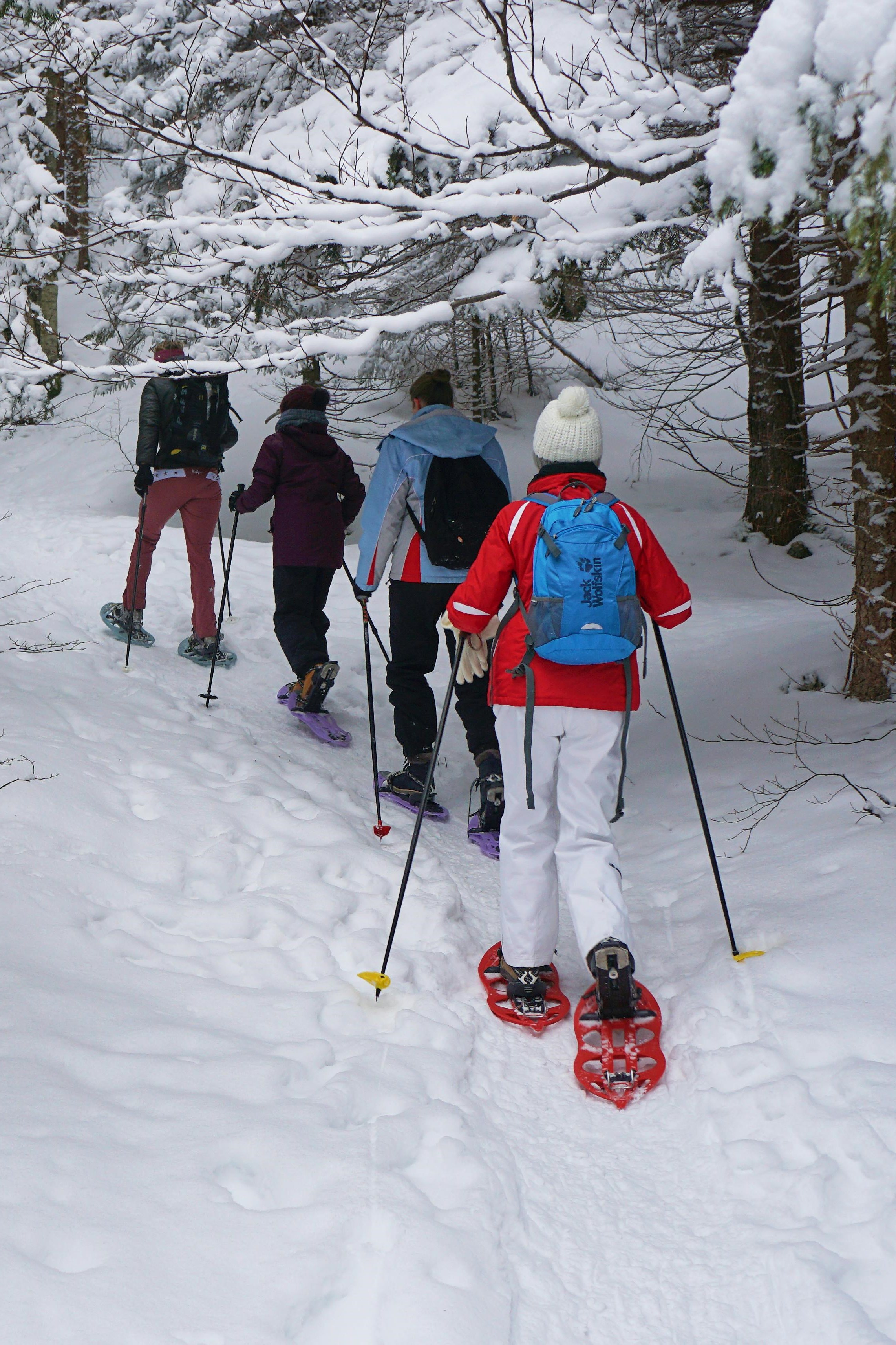 a group snowshoeing in the forest.