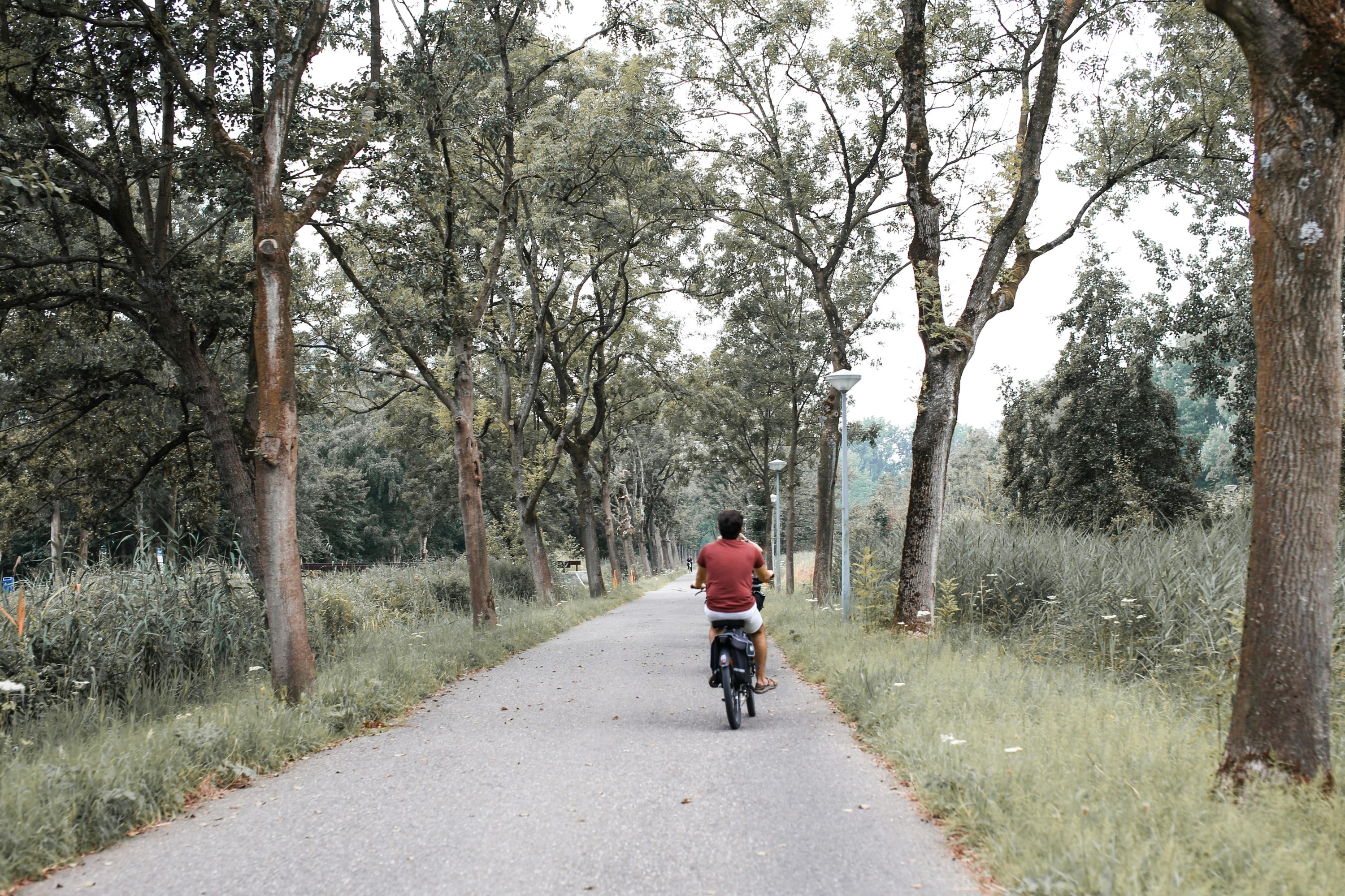 Sentier de vélo avec une personne à vélo de dos.