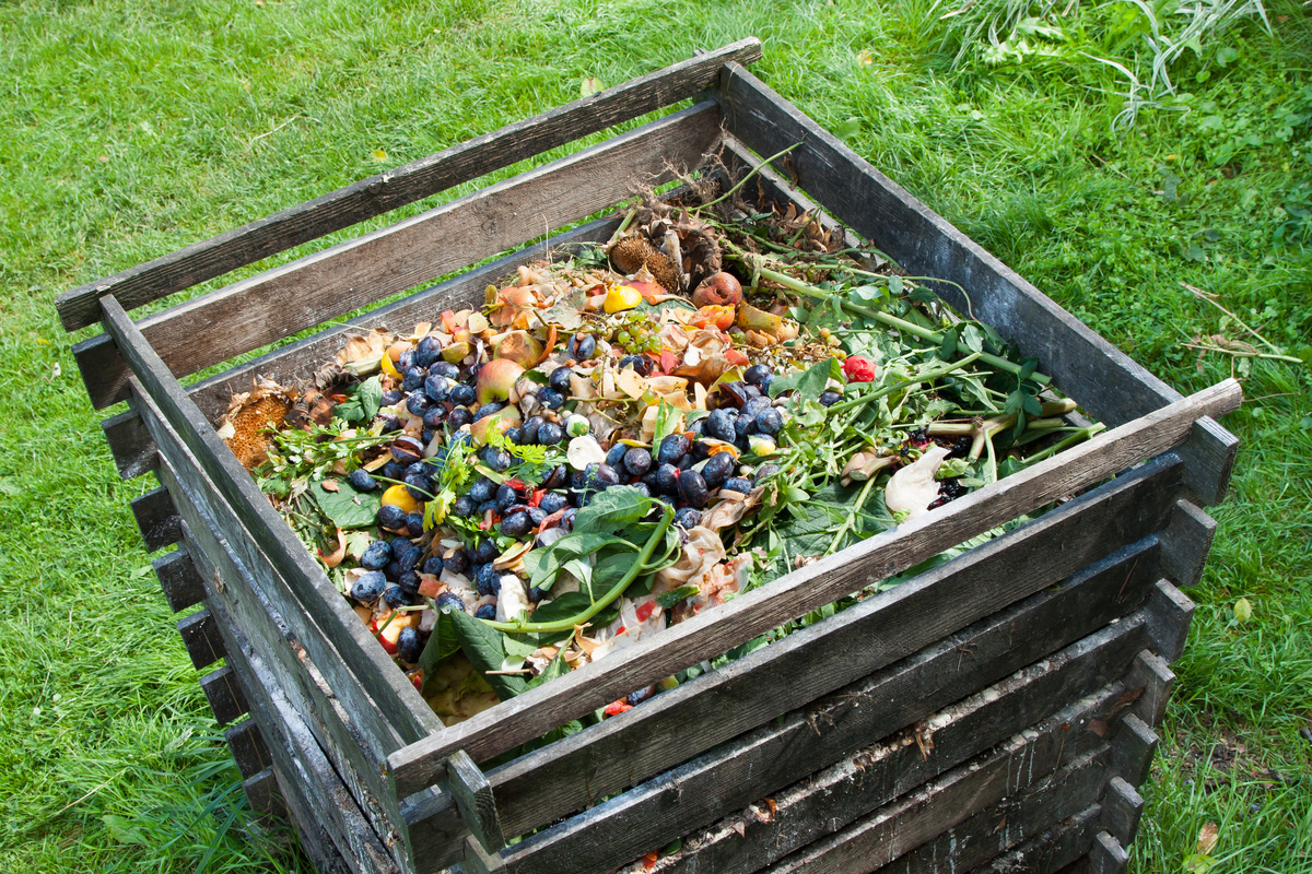 Wooden composting box with food waste in a backyard