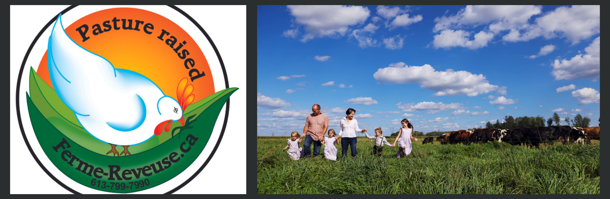 Ferme Rêveuse Logo and photo of the Schneider family in the fields under a blue sky with a herd of cows on the right