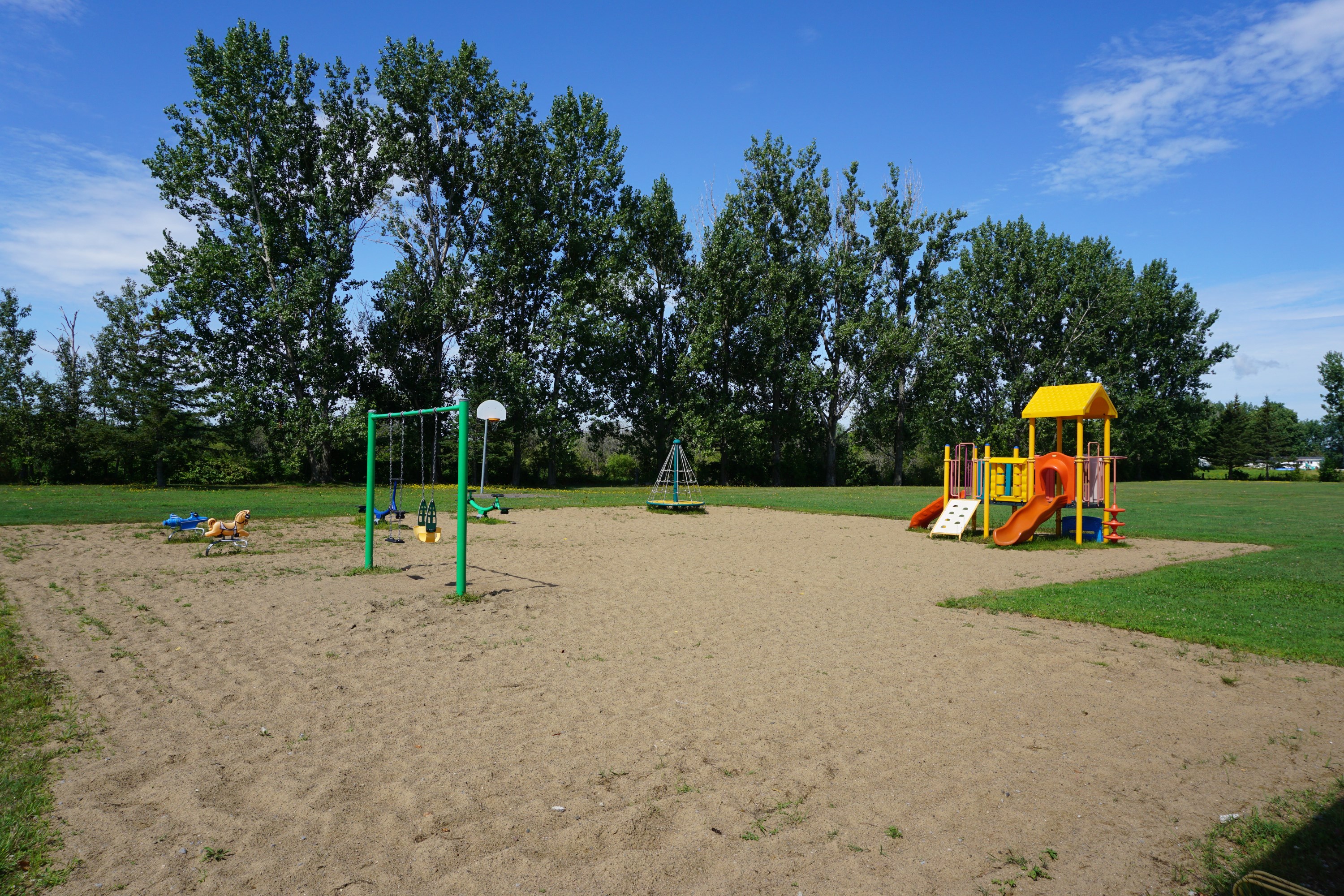 Treadwell Park Play structures