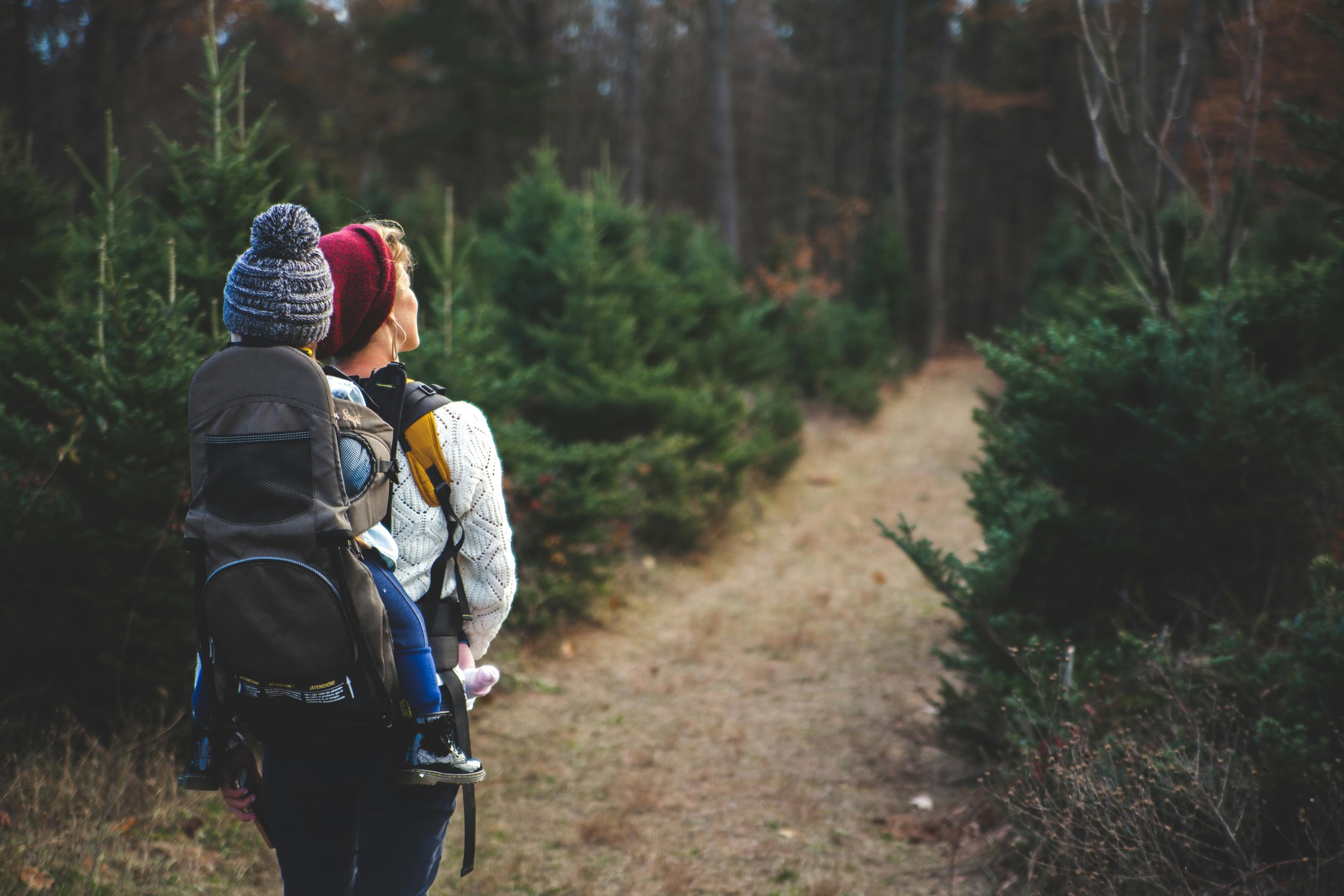 Une femme avec un porte bébé dans le dos qui marche dans un sentier en forêt.