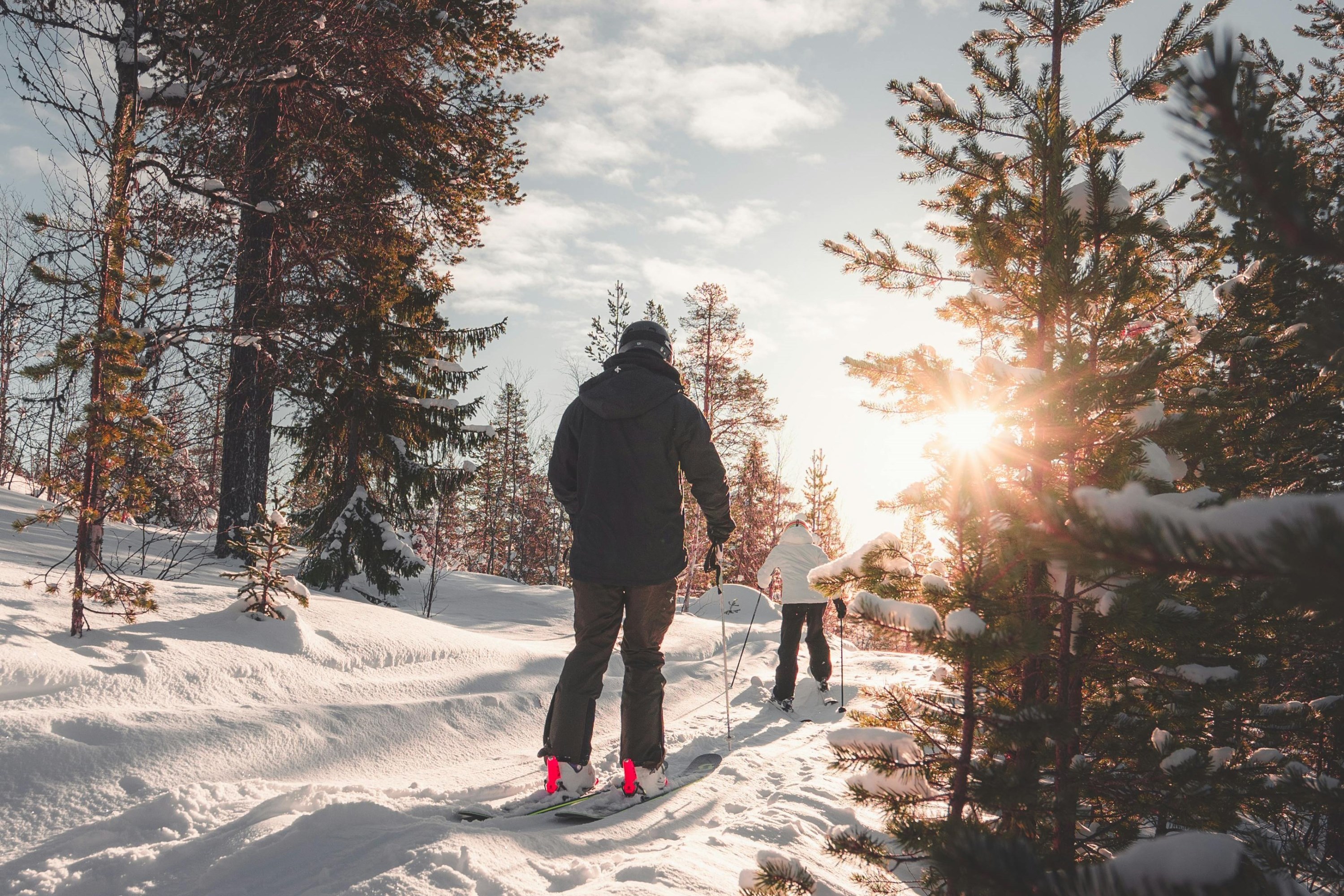 deux personnes de dos qui font du ski de fond dans la forêt. 