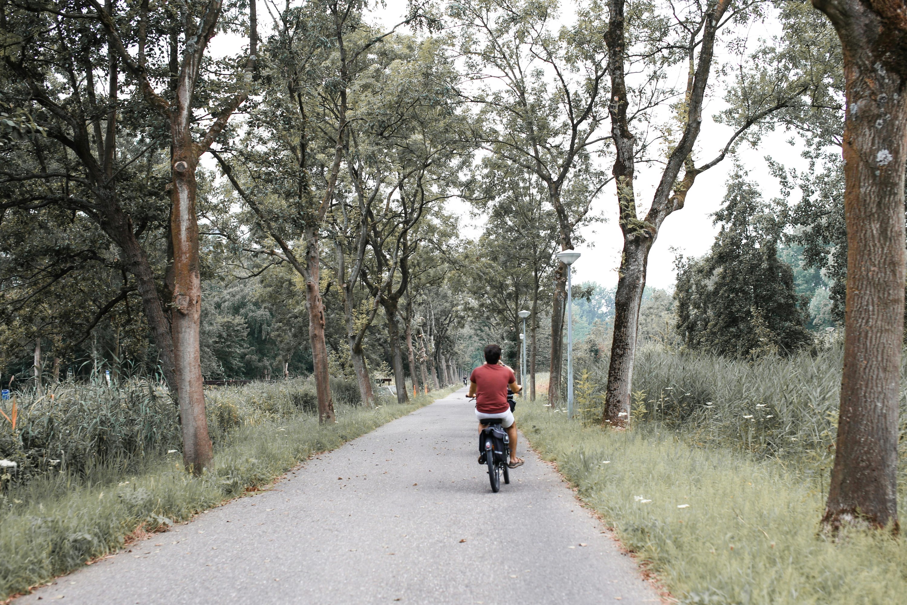 A person a on bike trail riding a bicycle