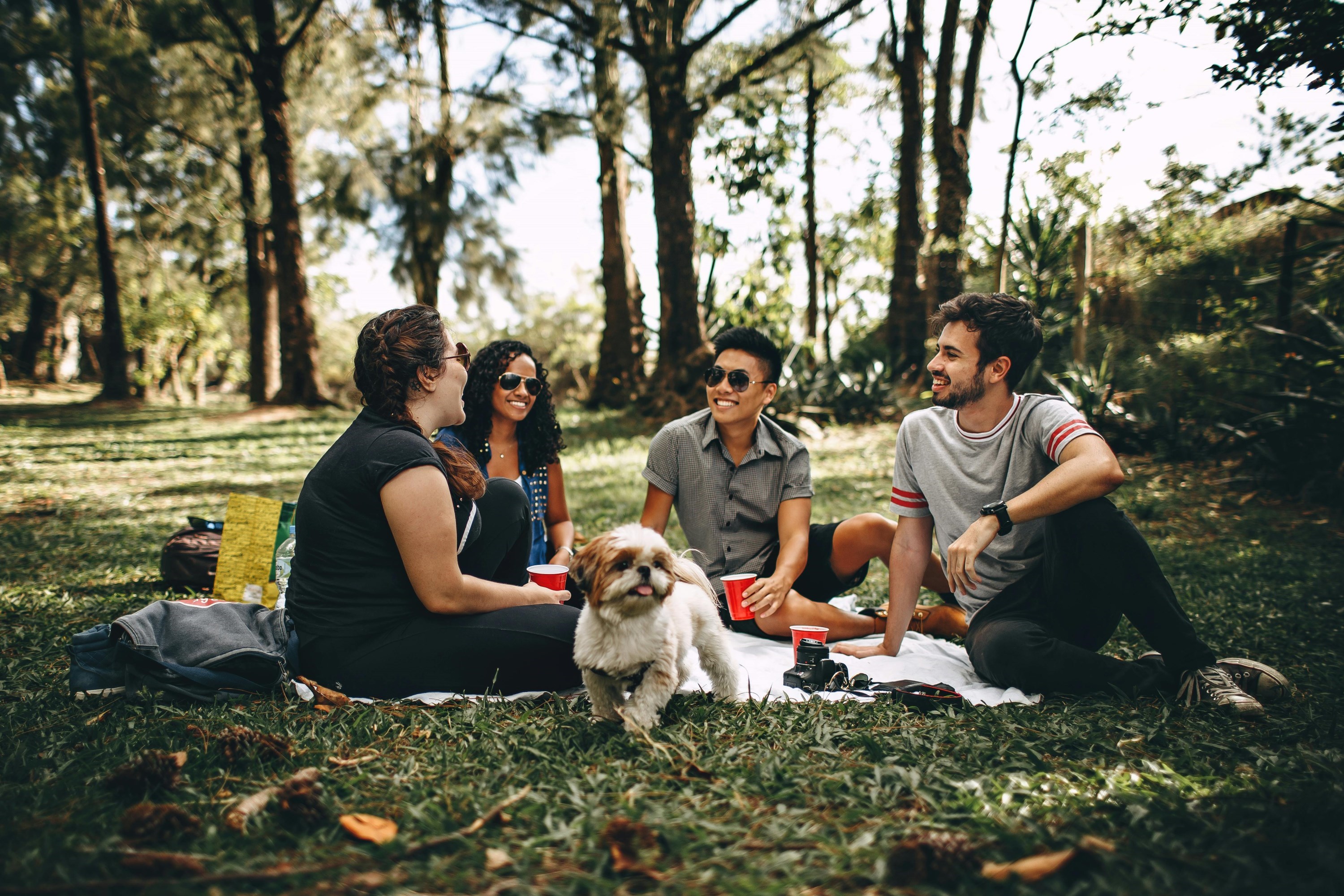 people sitting on a picnic blanket outside chatting and enjoying a meal.