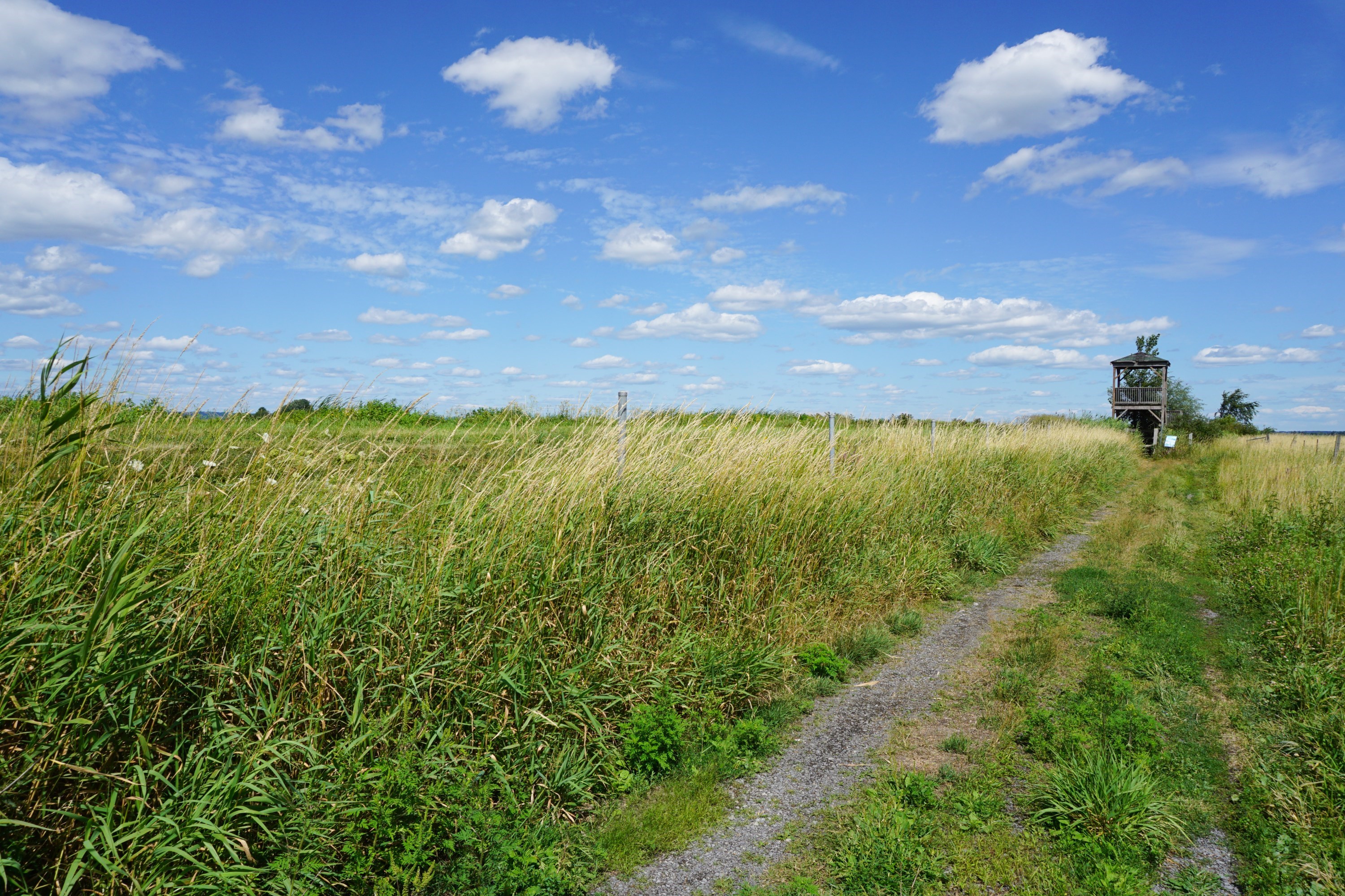 View of the Alfred Lagoon and its observation tower on a beautiful summer day. 