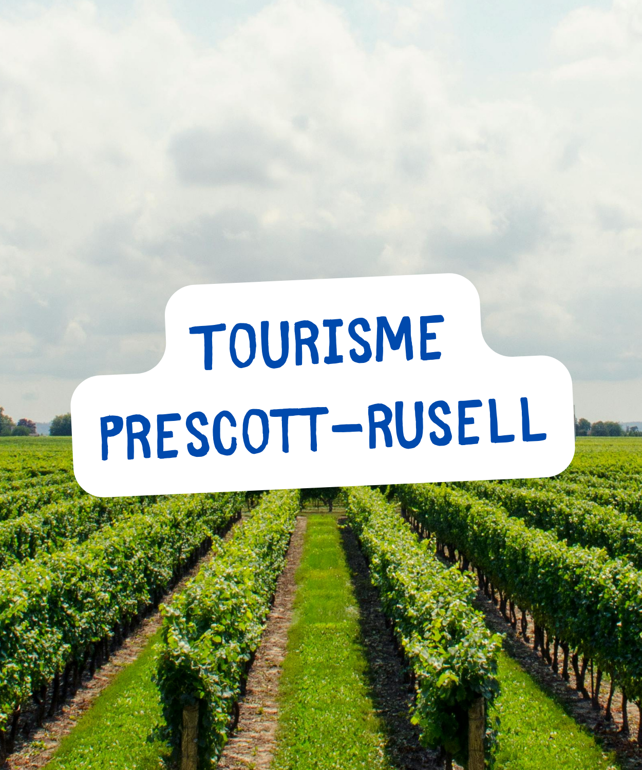 Un champ de vignes avec comme titre au centre Tourisme Prescott-Russell 