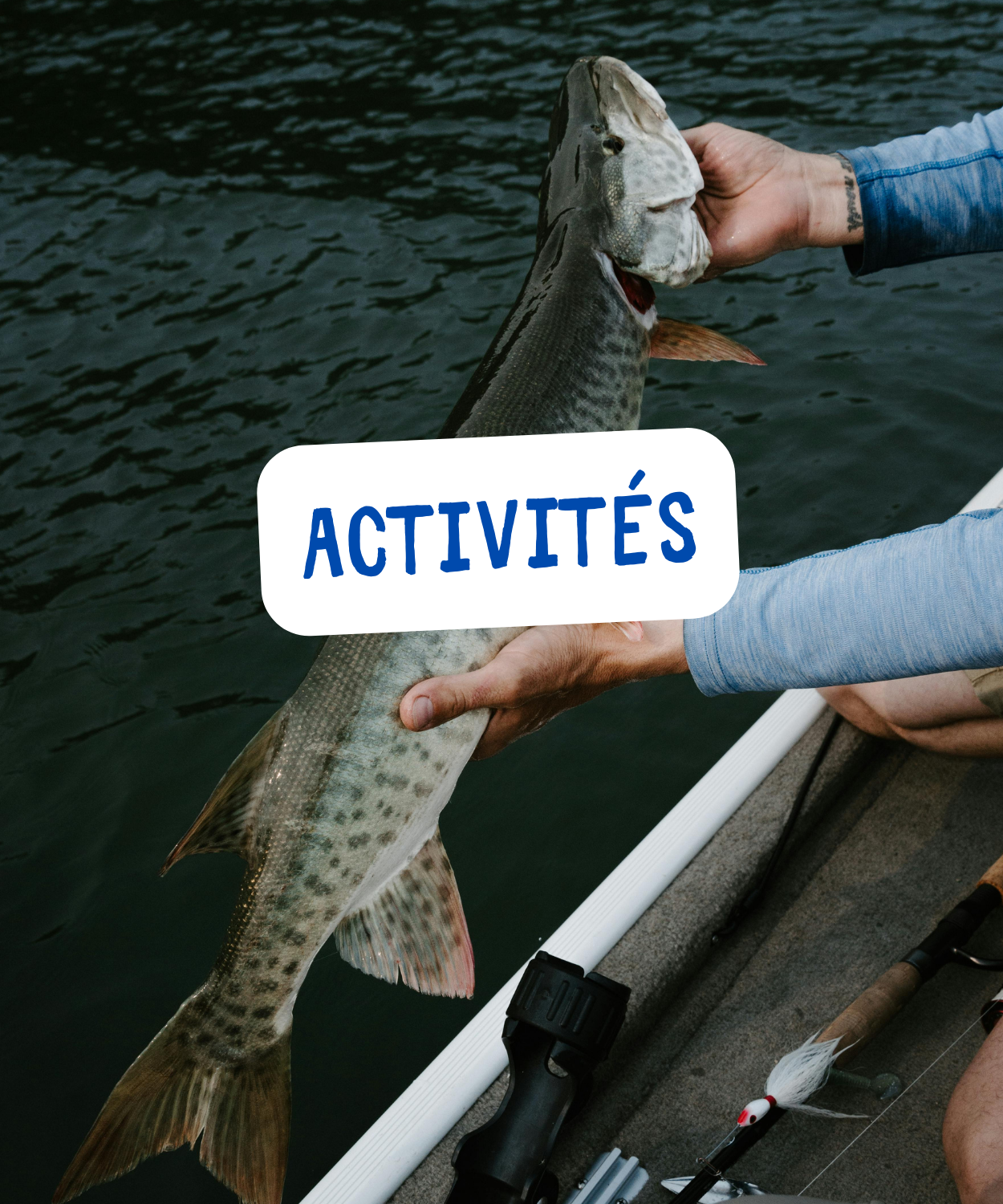 Un poisson dans les mains d'un pêcheur avec comme titre activités