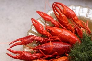 Homards dans une assiette