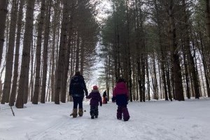 Family walking in the forest during winter