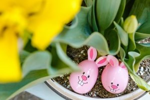 2 easter eggs in a flower pot