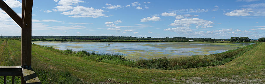 Vue de la tour d'observation sur le lagune 