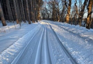 Cross county skiing trail in the woods.