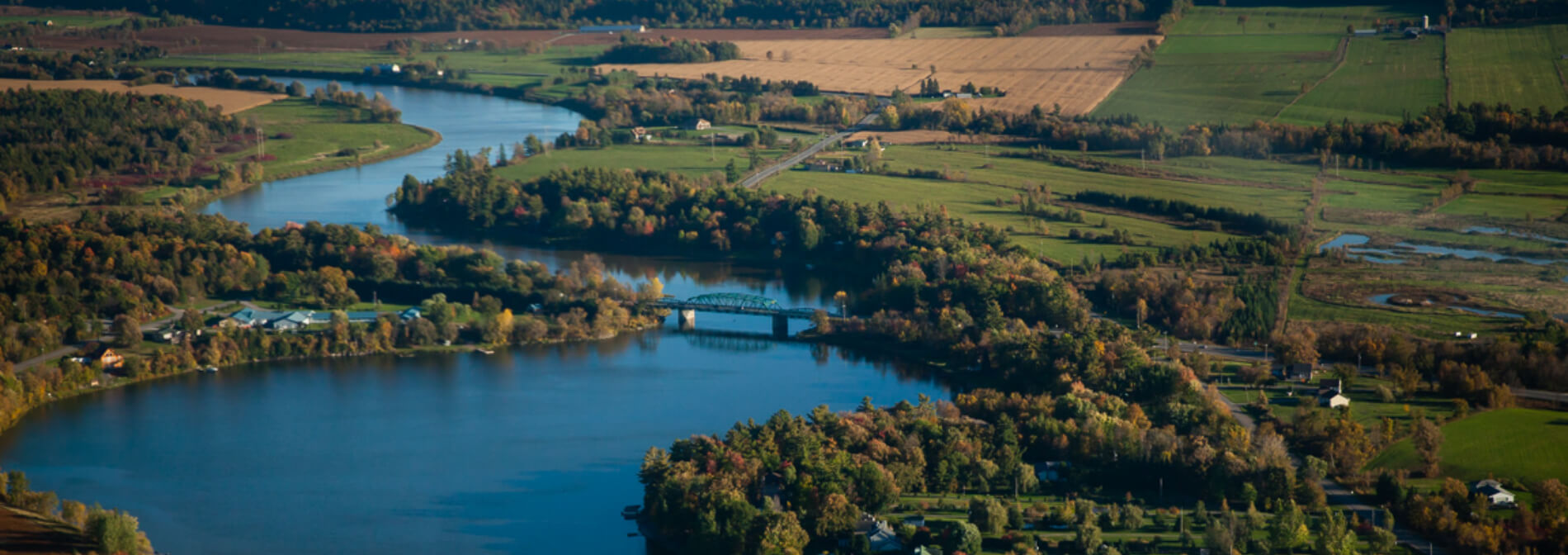 Township of Alfred and