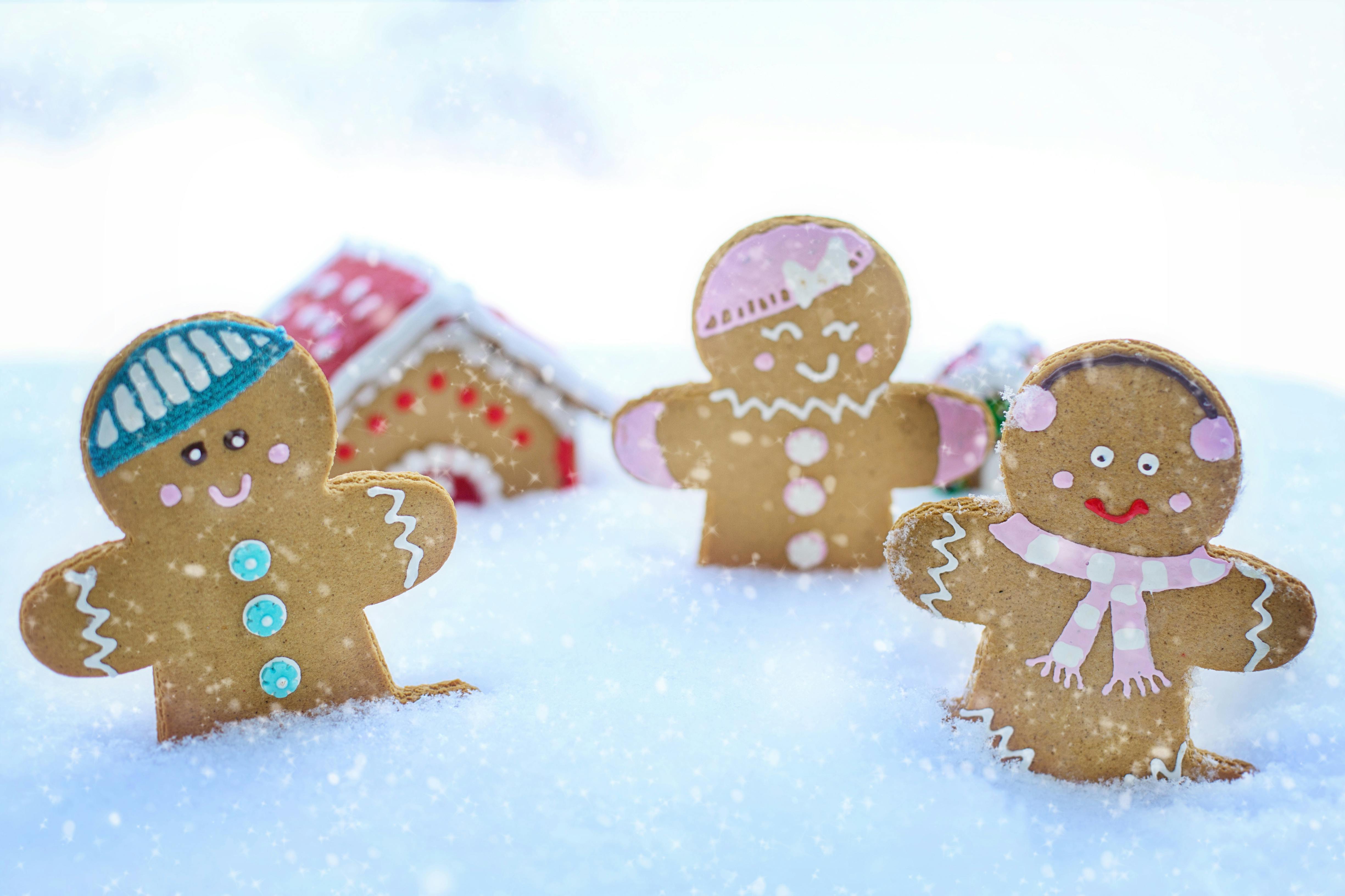 Biscuits de noel