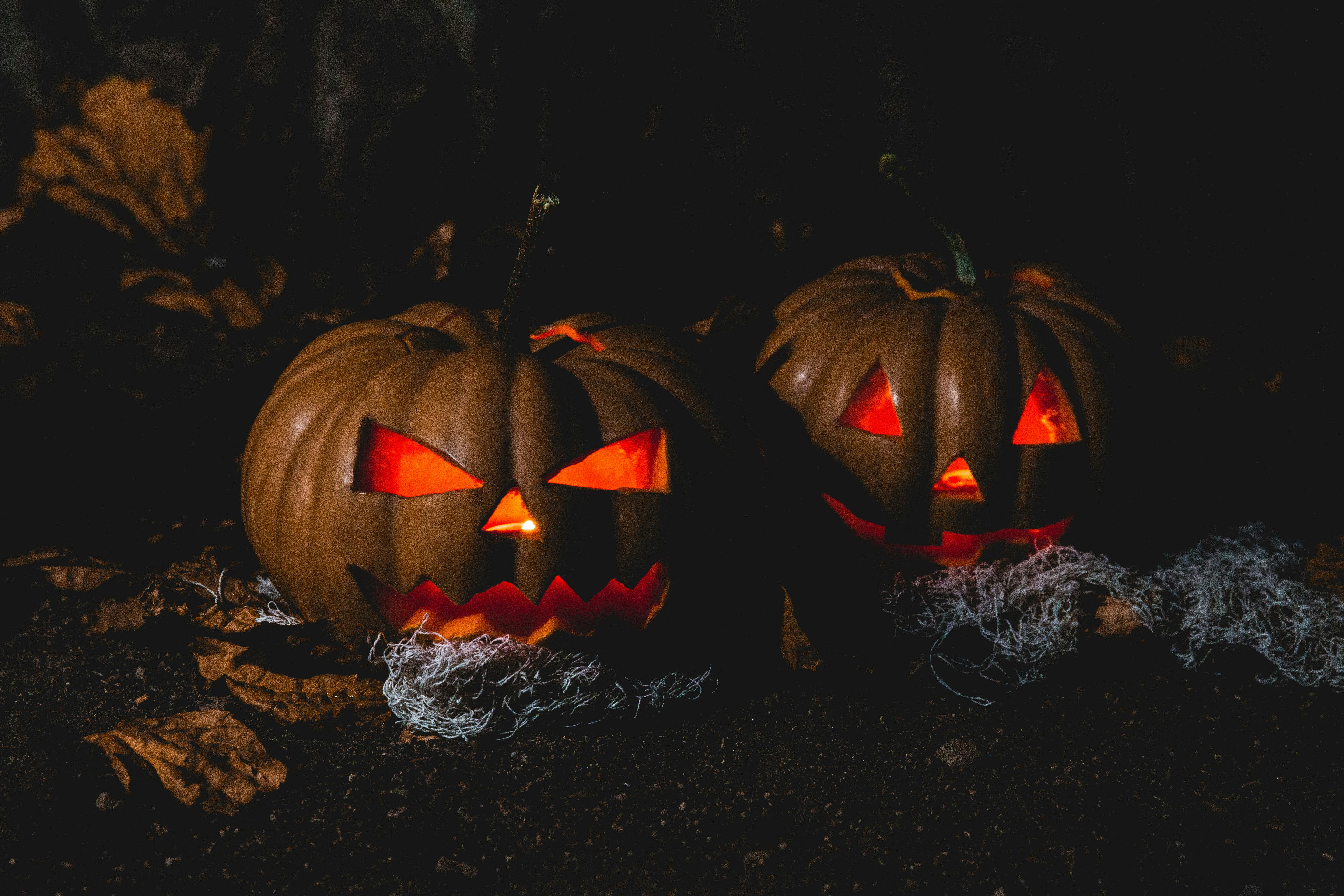 Pumpkins in a forest