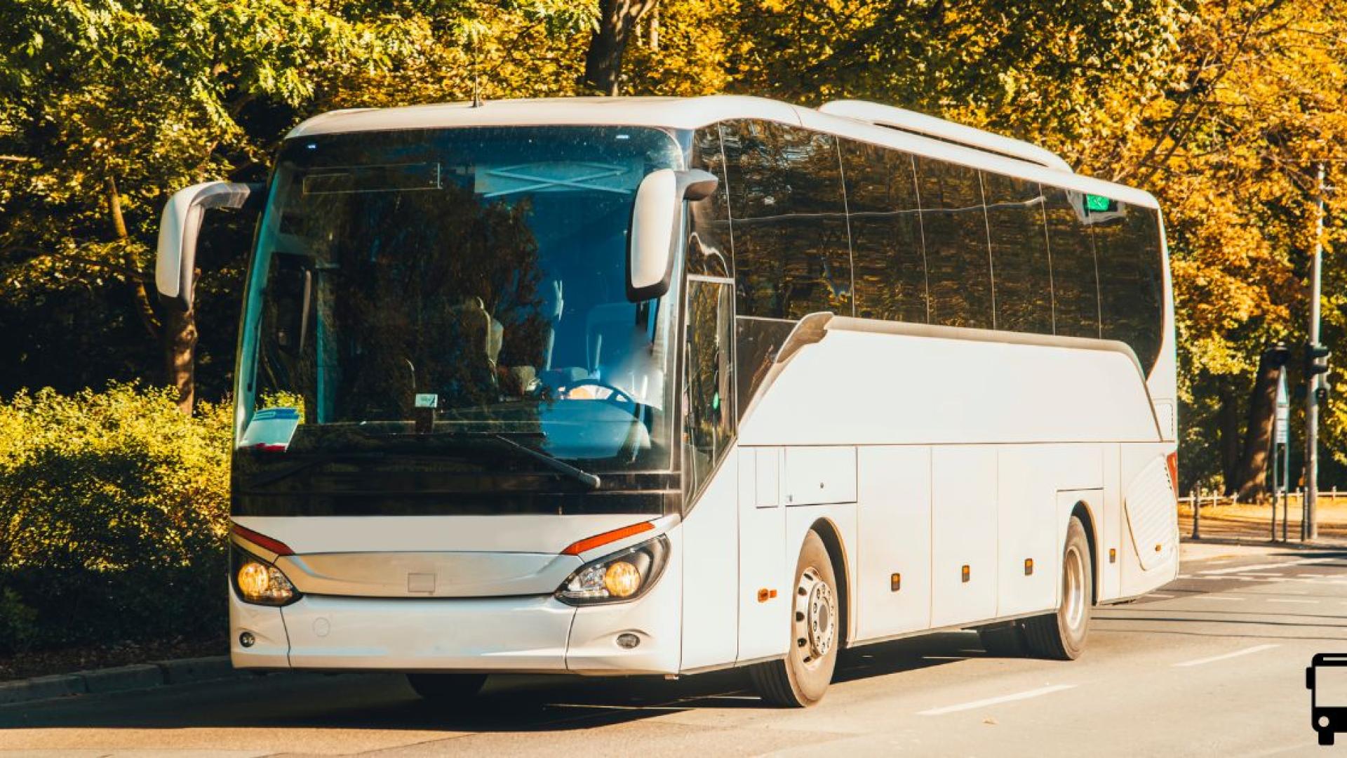 White tour bus on a tree-lined street in autumn.