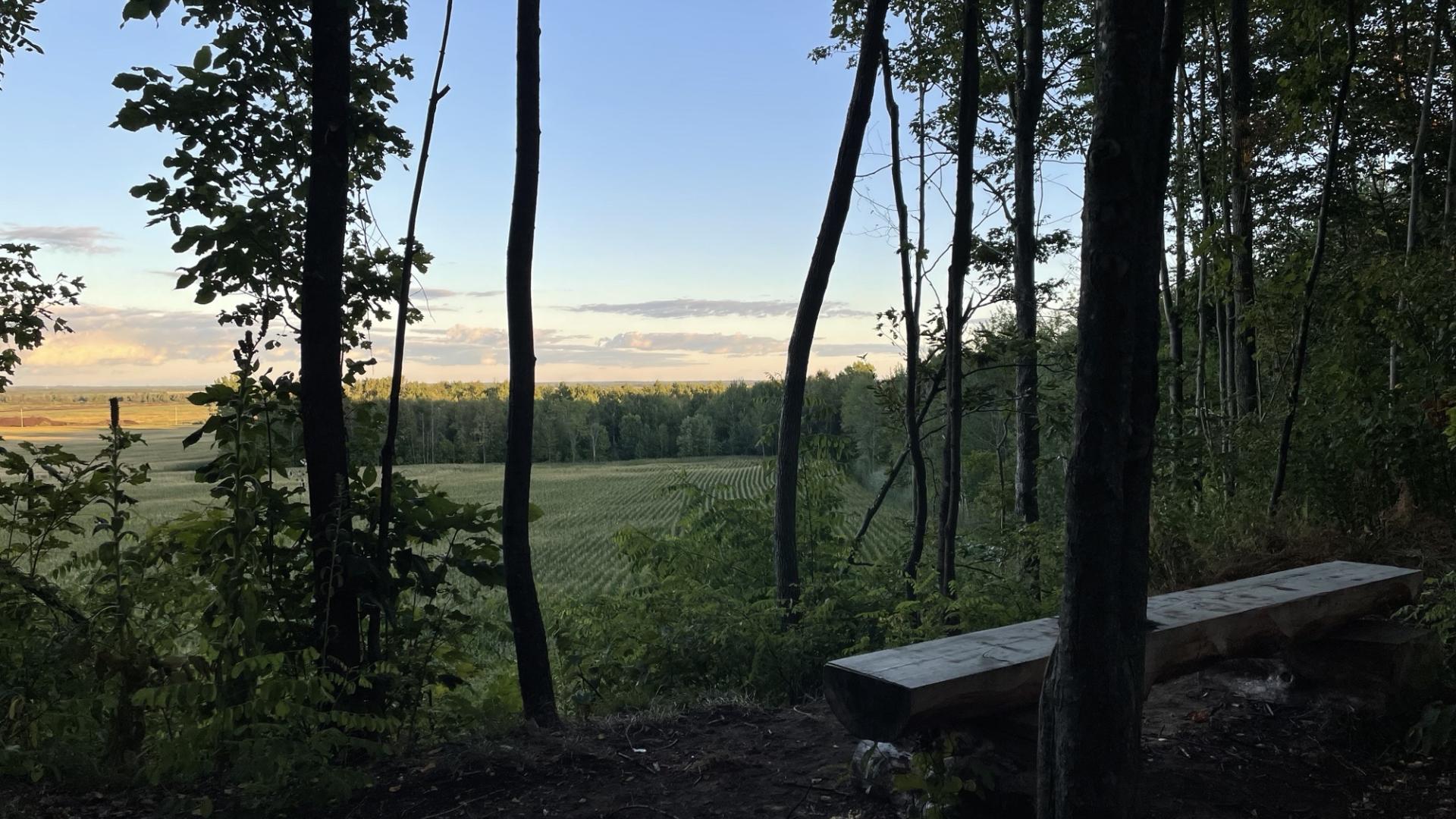 View from the Larocque Woods Trail in the summer
