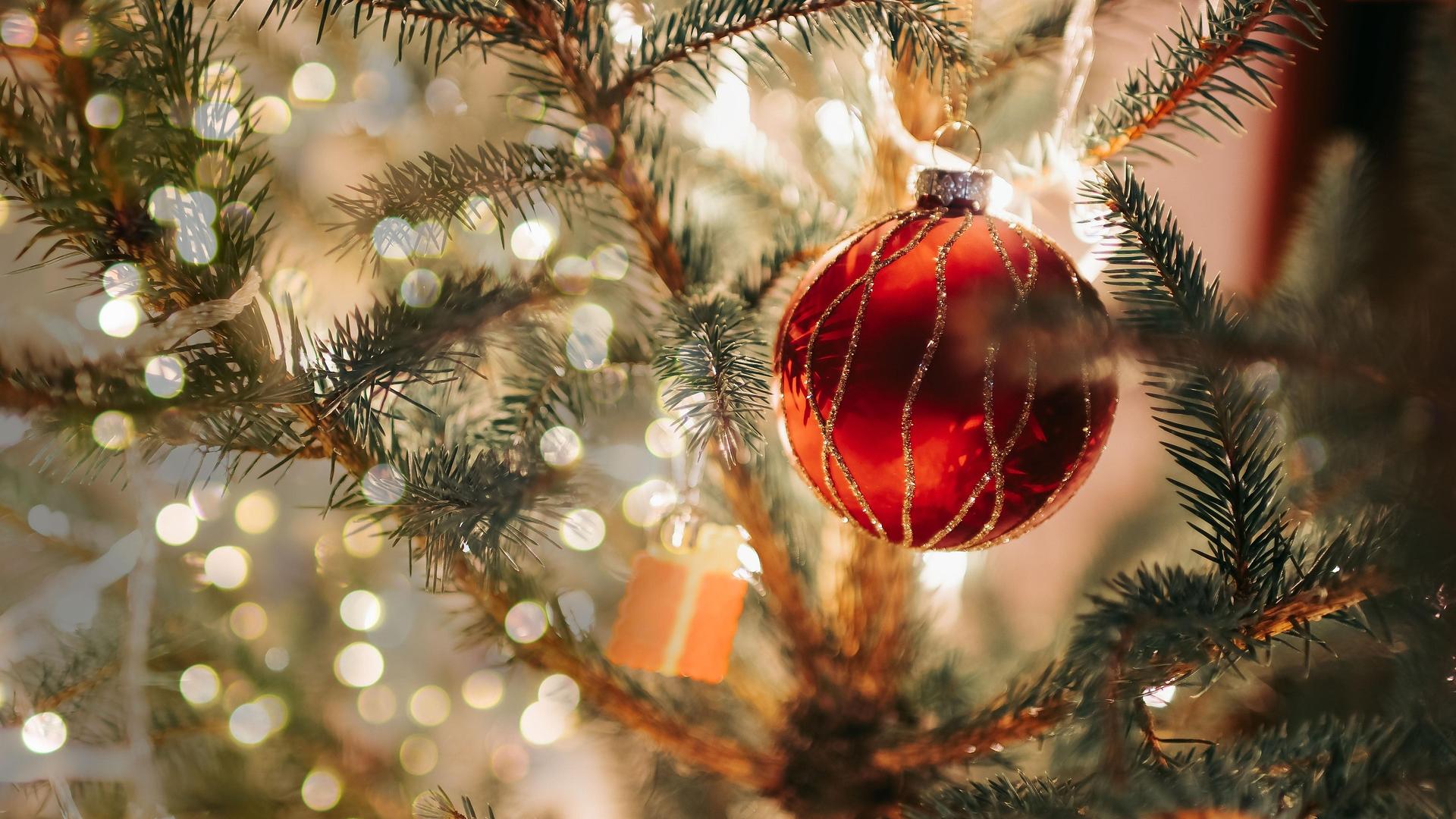 Decorated christmas tree