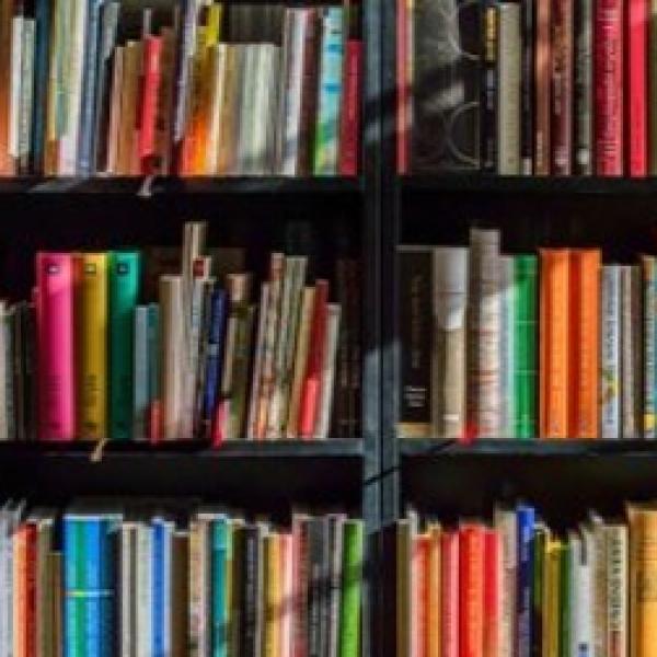 Colorful books arranged on a bookshelf.