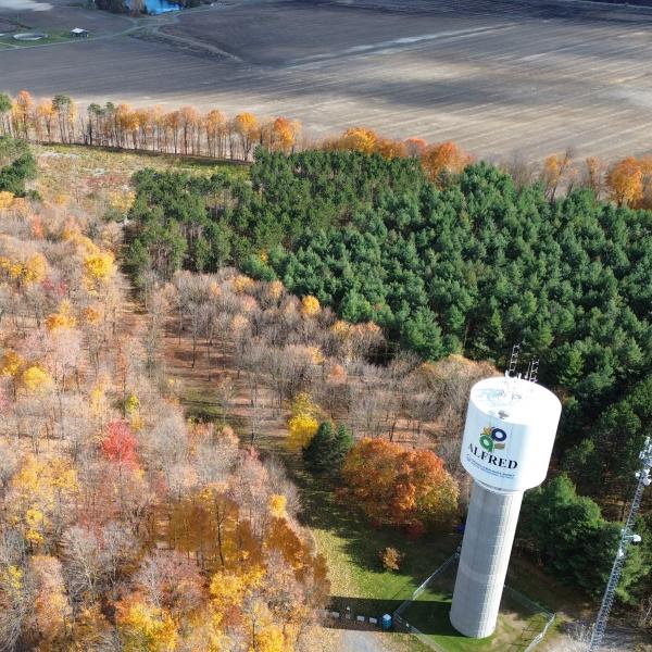 Larocque Woods drone shot in the Fall